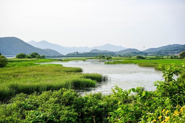 Les zones humides : sentinelles de la biodiversité et de l'eau